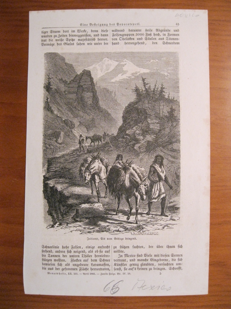 Indígenasas bajando la montaña (México), 1866